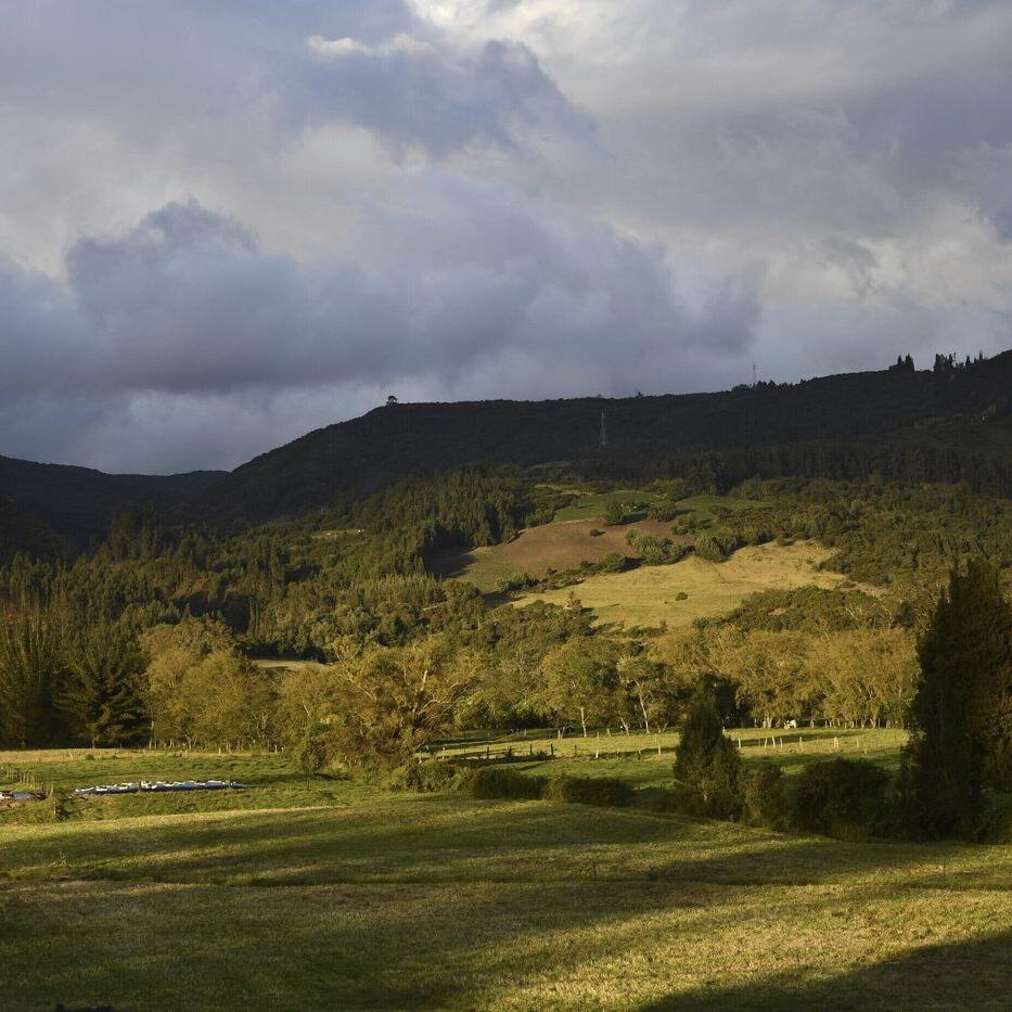 Ancient DNA reveals a new group of people who lived near land bridge between the Americas